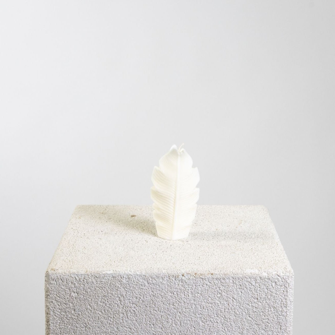 Feather Sculptural Soy Wax Candle | Candle, Decor | Studio McKenna