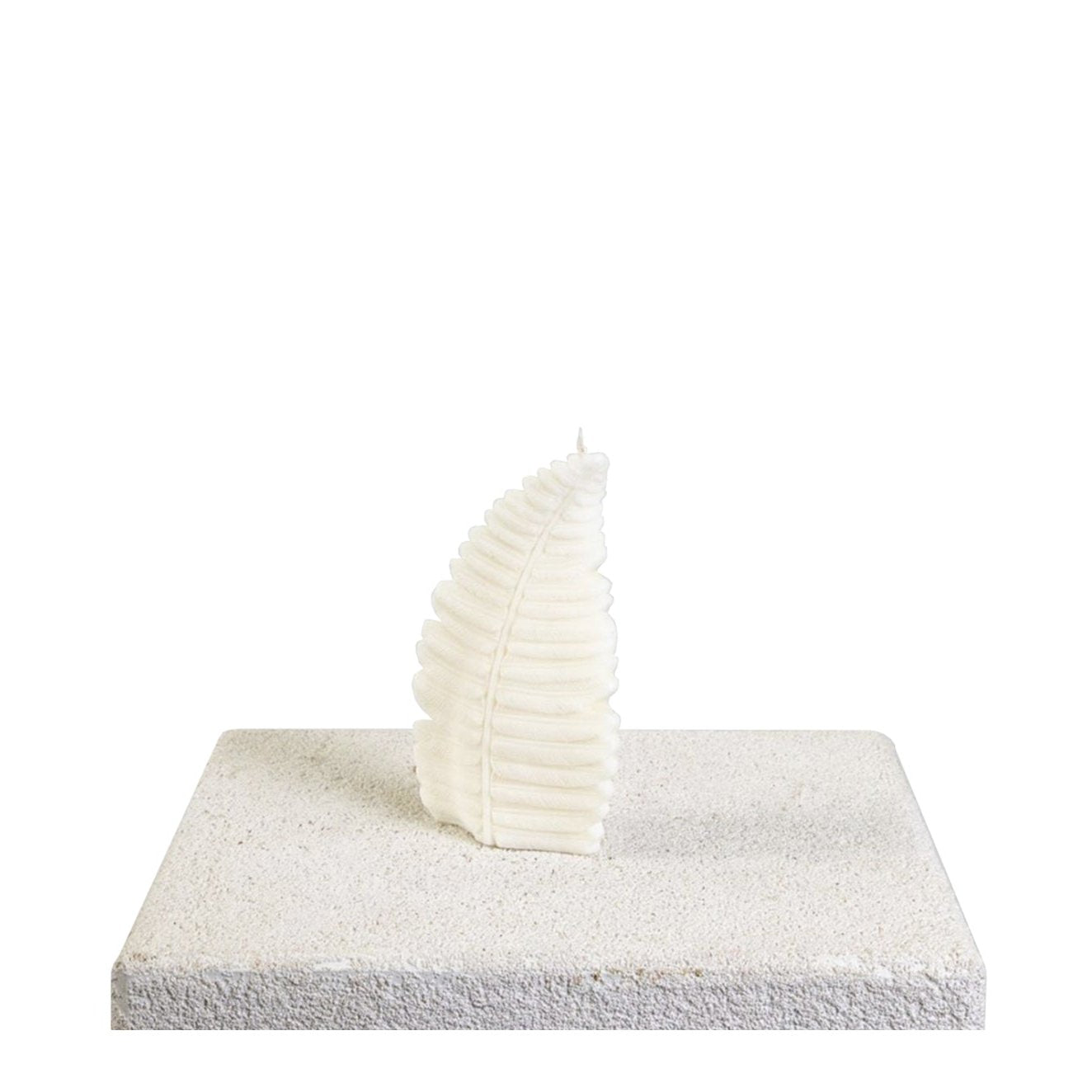 Fern Leaf Sculptural Soy Wax Candle