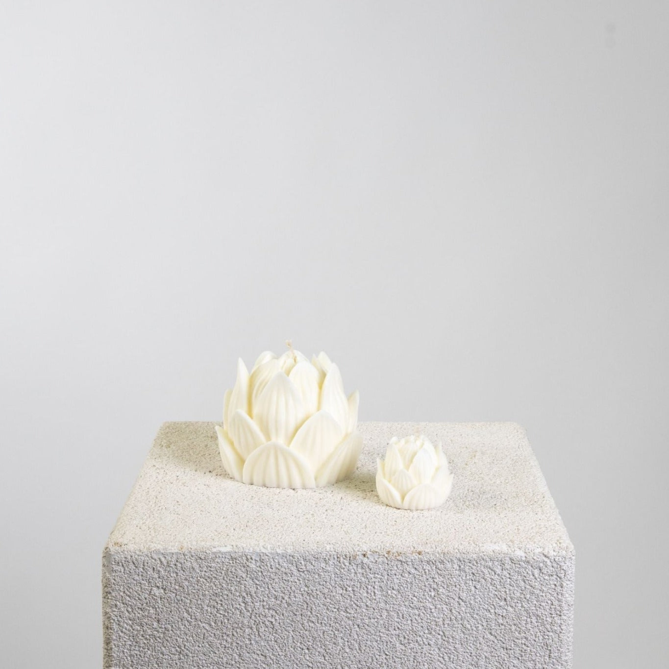 Lotus Sculptural Soy Wax Candle Collection | Candles | Botanic, Candle, Decor | Studio McKenna
