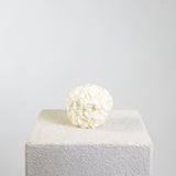 Rose Ball Sculptural Soy Wax Candle Collection | Botanic, Candle | Studio McKenna