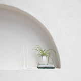 Tall Standing Taper Soy Wax Candle