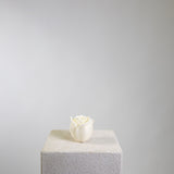Petal Sculptural Soy Wax Candle Collection